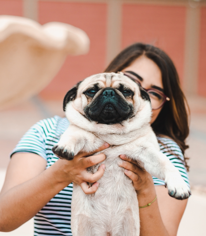 Dit zijn de 10 populairste namen voor je hond